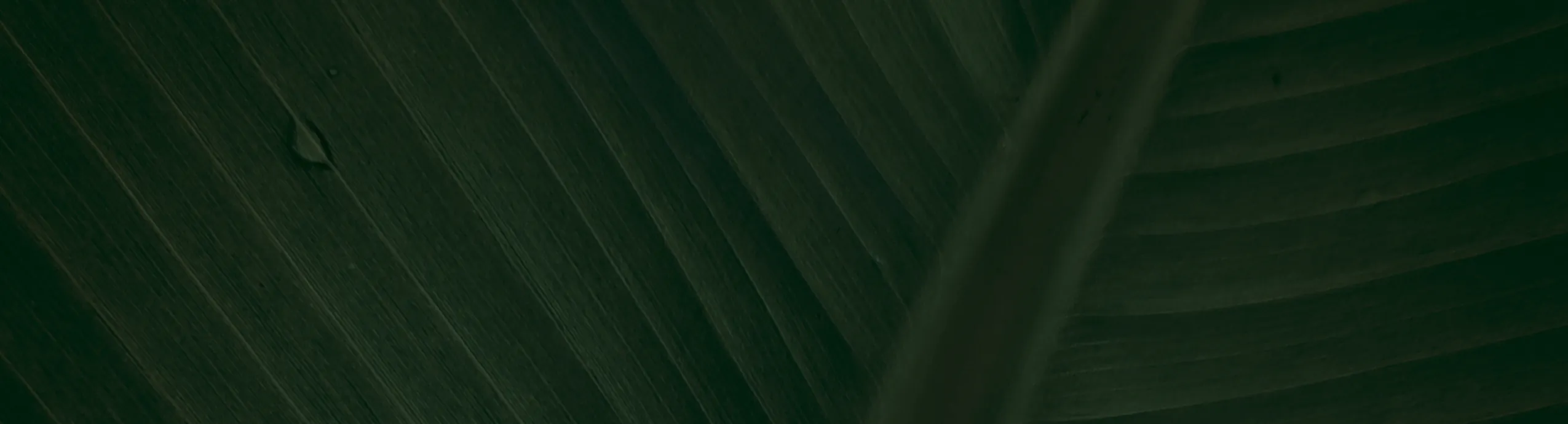 Box Bien-Être Mensuelle Herbo Rabia